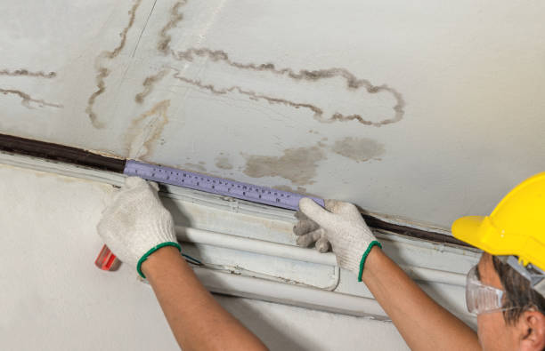 Reliable Burst Pipe Cleanup contractor in Trinidad, CO by Water Damage Irwin